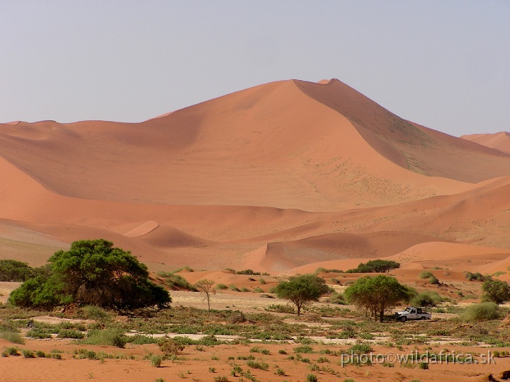 P1010203.JPG - Sossusvlei Dunes