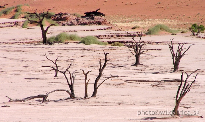 P1010212.JPG - Deadvlei