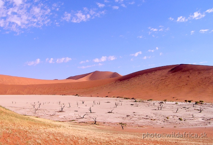 P1010235.JPG - Deadvlei