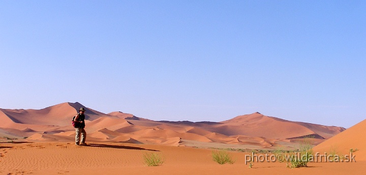 P1010247.JPG - Sossusvlei Dunes - a photographers paradise