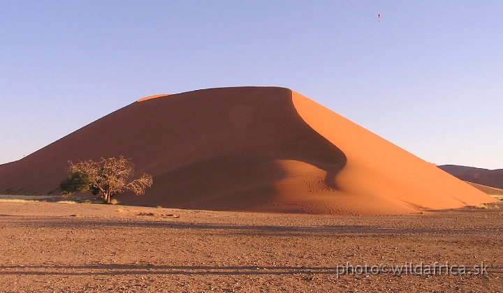 P1010262.JPG - Sossusvlei Dunes - a photographers paradise, D 45 Dune was our goal for climbing