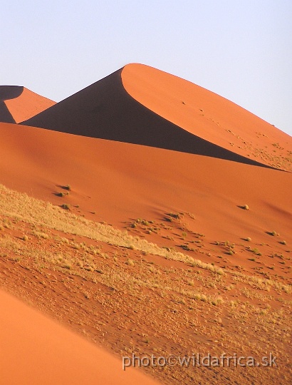 P1010287.JPG - Sossusvlei Dunes - a photographers paradise