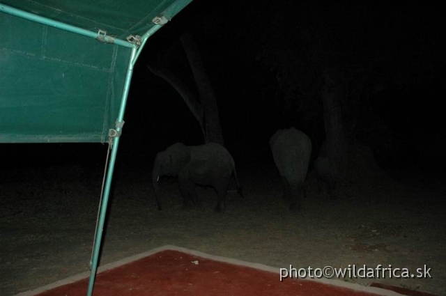 00DSC_1757++.jpg - It is midnight in the Kiboko Camp, South Luangwa.