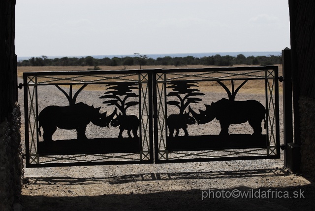 _DSC0094.JPG - Ol Pejeta Conservancy is a private reserve full of interesting and some rare mammals of Kenya.