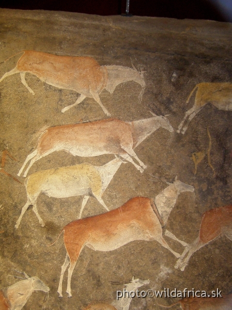 PA121778.JPG - This painting of elands is considered as one the best prehistoric rock art examples from Africa.