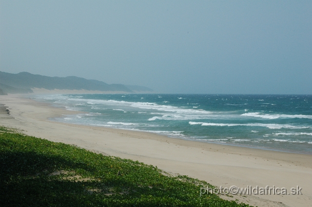 DSC_0600.JPG - This is coastal part near Mozambique border.