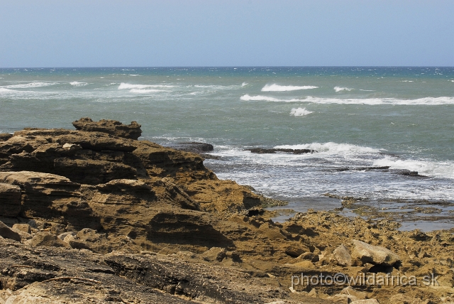 _DSC2297.JPG - This is coastal part near Mozambique border.