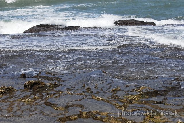 _DSC2305.JPG - This is coastal part near Mozambique border.