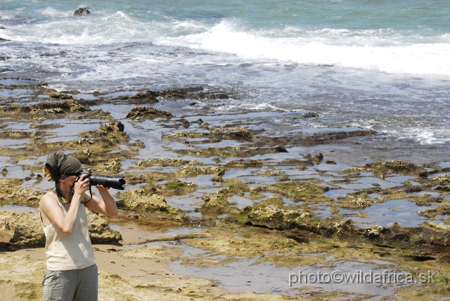 _DSC2316.JPG - This is coastal part near Mozambique border.