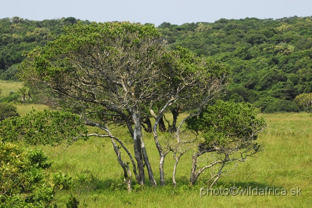 _DSC2325.JPG - Habitats diversity