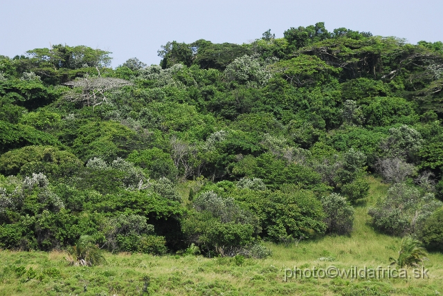 _DSC2333.JPG - Green Hills of St Lucia