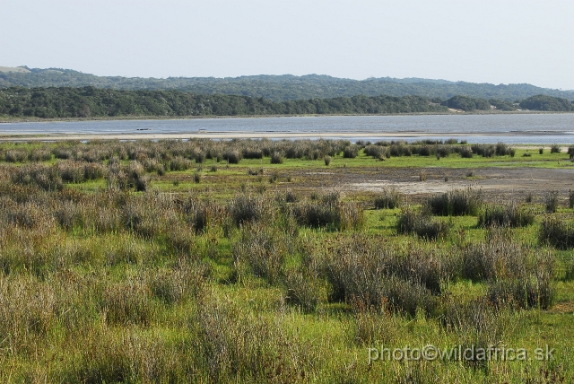 _DSC2362.JPG - St Lucia Estuary