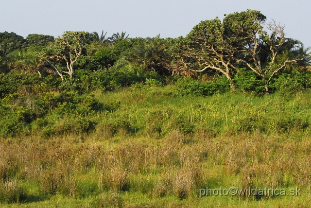 _DSC2370.JPG - Habitat diversity of St Lucia Wetland Park