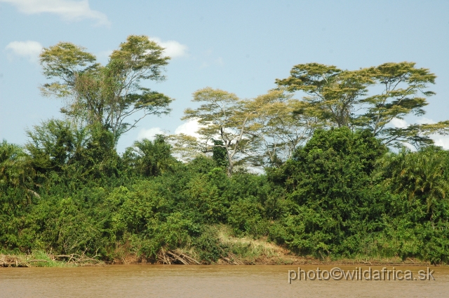 DSC_0015.JPG - Tana River is the longest river of Kenya.