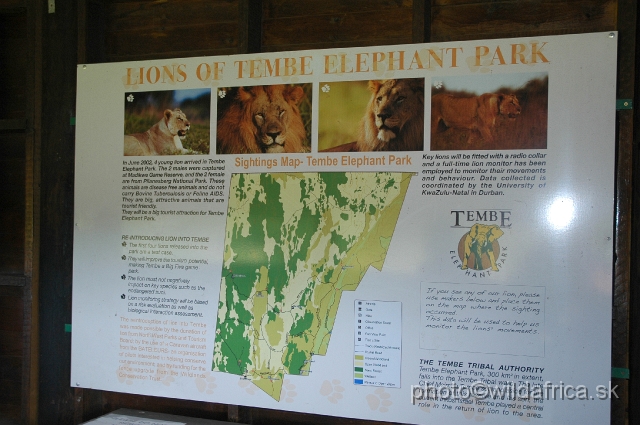 DSC_0261.JPG - Lions of Tembe Elephant park were introduced here.