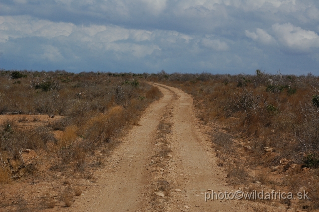 DSC_0259-1.JPG - Dry semi-arid bushland of Tsavo East, not all roads have red coloration.