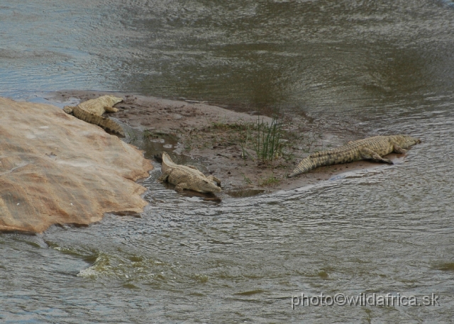 DSC_0507-1.JPG - Crocs, Luggard Falls