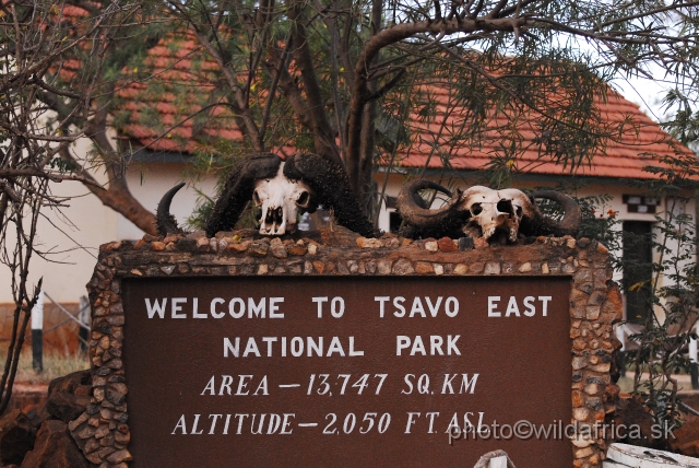 _DSC0683.JPG - Welcome to Tsavo East