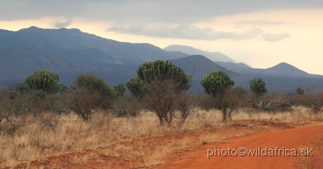 DSC_0193.JPG - Tsavo West National Park is smaller one from two legendary Kenyan parks.