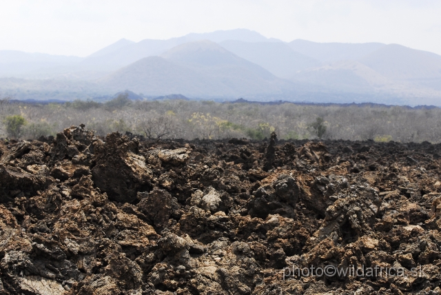 _DSC0575.JPG - Land of Tsavo West